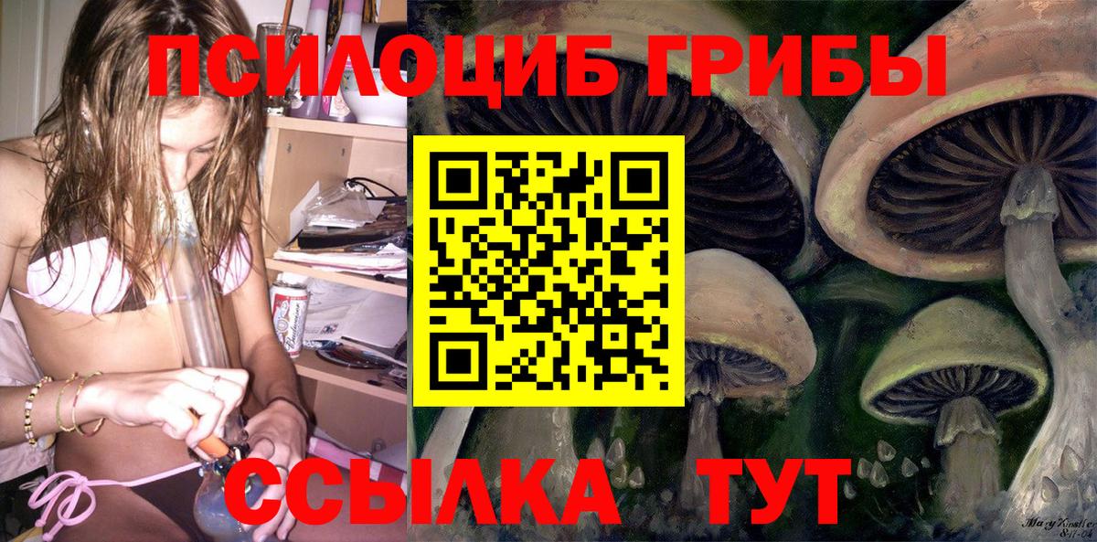 закладка  Вход с VPN  Мичуринск  Галлюциногенные грибы Psilocybe  Псилоцибиновые грибы Magic Shrooms 
