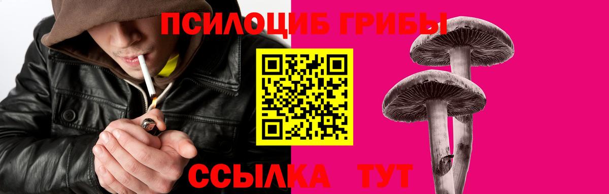 Псилоцибиновые грибы GOLDEN TEACHER Мичуринск